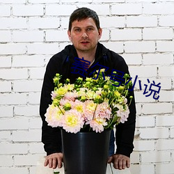 賽爾號小說