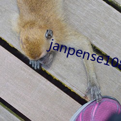 janpense1080