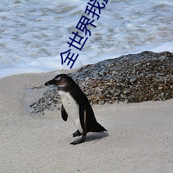 全世界我最愛你