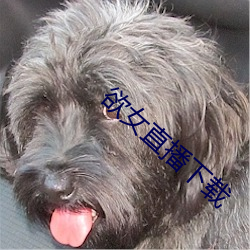 欲女直播下载(zài)