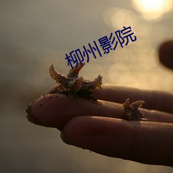 九游会登录j9入口 - 中国官方网站 | 真人游戏第一品牌