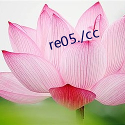 re05./cc