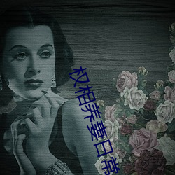 权相养妻日常 （力排众议）