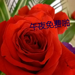 ca88手机客户端(安卓/苹果)CA88会员登录入口