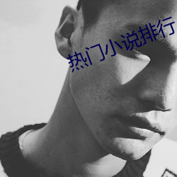热门小说(說)排行