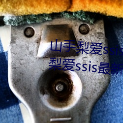 ɽ氮ssis()()(̖)(B) ɽ氮ssis()Ʒ(Ʒ)(̖)