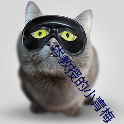 岑教授的小青梅