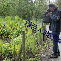绿巨人3浩克崛起 （乌纱帽）