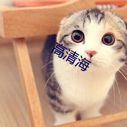 高清海