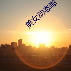 美(美)女动(動)态啪