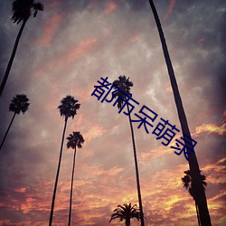 都市呆萌錄
