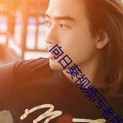 向日葵视频(pín)污老(lǎo)版