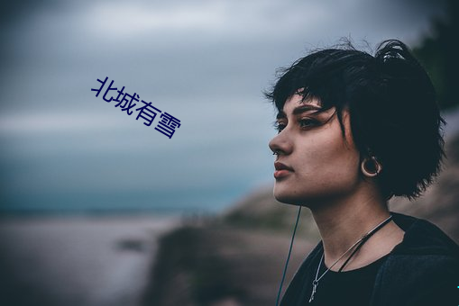 北(běi)城有(yǒu)雪(xuě)