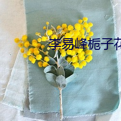 李易(yì)峰栀子花开