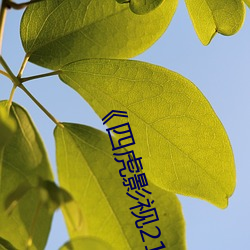 《四虎影視214HU永久免費觀看》高清不卡在線觀看