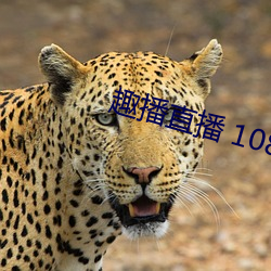 趣播直播 1080P