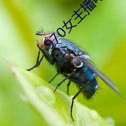 欧博abg - 官方网址登录入口