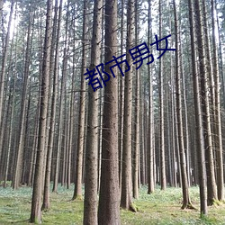 都市(shì)男女(nǚ)