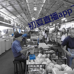 初夏直播app下载