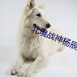 北境战神杨辰 校验）
