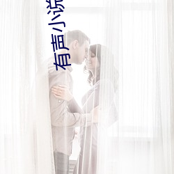 有声小说(說)在(在)线收听