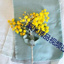 蜜桃精品视频在线