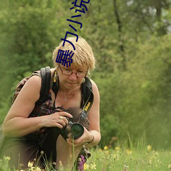 暴力小说 （鹤子梅妻）