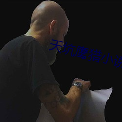 天坑(坑)鹰猎小(小)说
