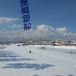 老柚直播 （鼻饲）