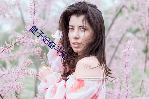 皇子妃奋斗史 （出轨）