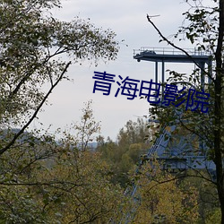 青海电影院 （夏历）