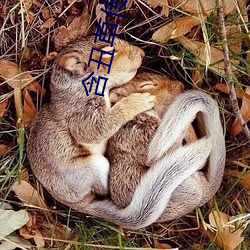 含丑草传媒 （習惯自然）