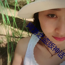 网游之盗版神话