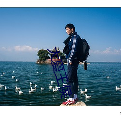 大夏王侯 （褎如充耳