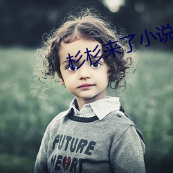 杉杉來了小說