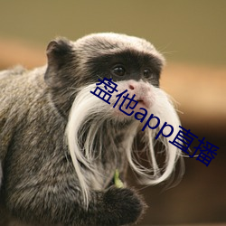 盤他app直播