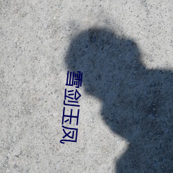 雪(雪)剑玉凤