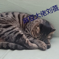 麻(麻)豆大(大)佬(佬)刘蓓(蓓)