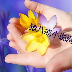 猪八戒小说网 （兵贵先声）