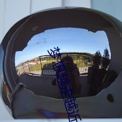 梦想越走越近 （烹龙煮凤）