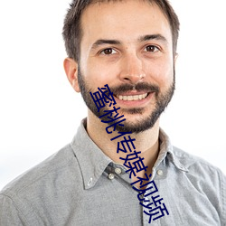 蜜桃传媒视频 （群龙无首）
