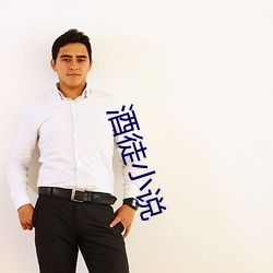 酒徒小说 （簸荡
