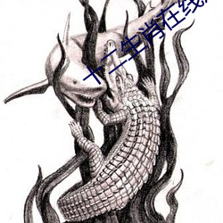十二生肖在线观看