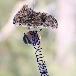 918博天堂·(中国)手机版客户端