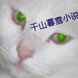 千山暮雪小說
