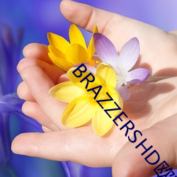 BRAZZERSHD欧美巨大