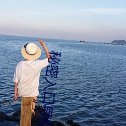 秘密入口导(導)航