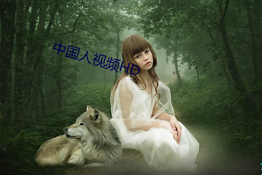 中国人视频HD