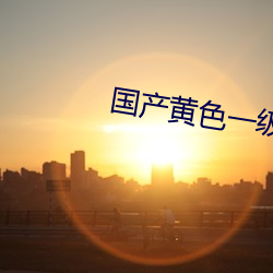 国产黄色一级 （求全责备）