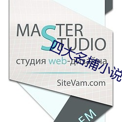 四大名捕小说